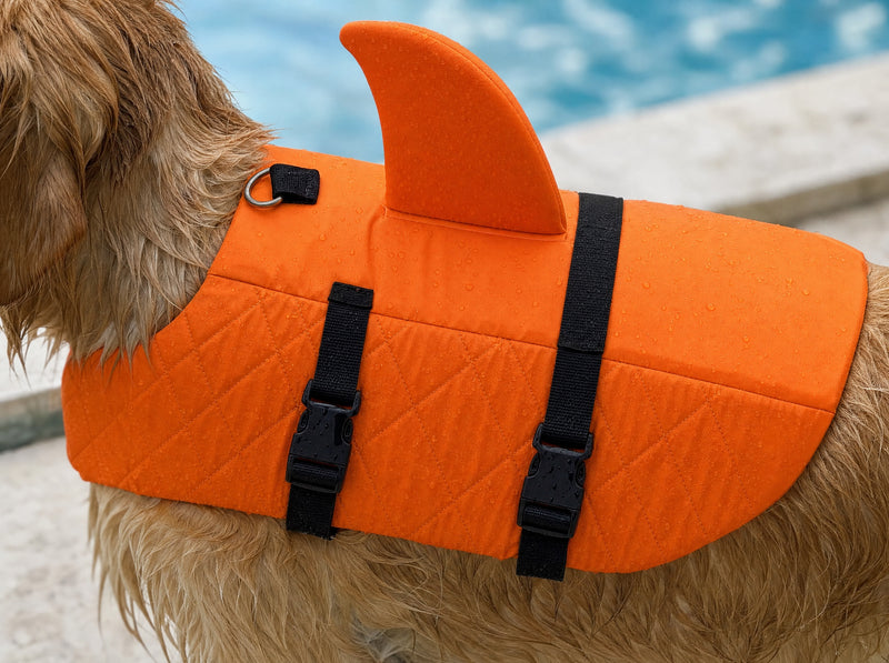 Detalle de las correas, hebillas y costuras del Salvavidas Norcan sobre el perro mojado