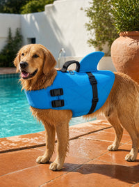 Salvavidas Norcan color azul puesto sobre un Golden Retriever junto a una piscina
