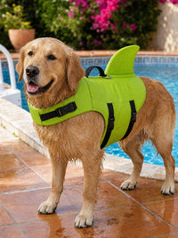 Salvavidas Norcan color verde puesto sobre un Golden Retriever junto a una piscina
